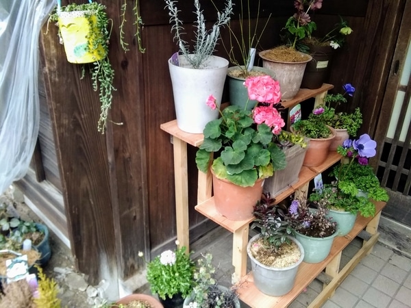 花の棚も作ってもらい 玄関前がすっき 春を待つ庭 のアルバム みんなの趣味の園芸 Id