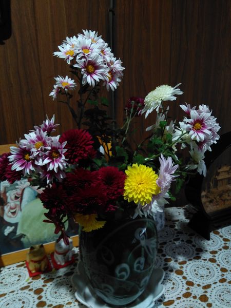 菊を花瓶に生けました 庭の花と多肉植物 のアルバム みんなの趣味の園芸 Id 9949