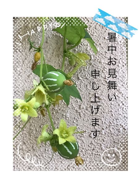 みなさまご自愛下さいませ オ のアルバム みんなの趣味の園芸 Id