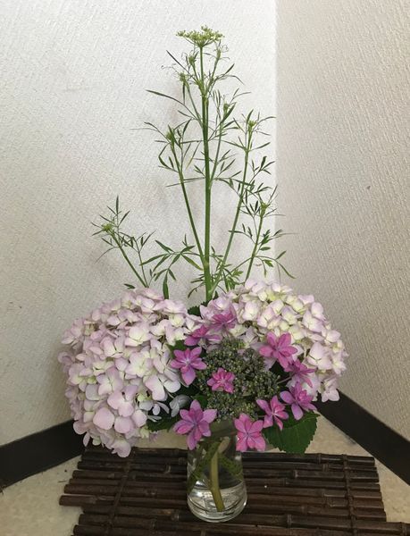 紫陽花2種とイタリアンパセリ 5 30 庭の草花で生け花 のアルバム みんなの趣味の園芸 Id