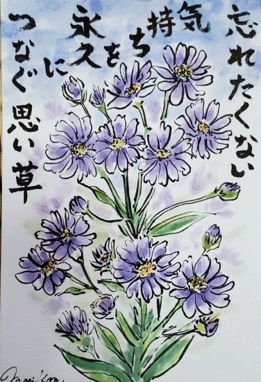 シオンのお花を見ると思いだします 絵手紙で咲くお花たち のアルバム みんなの趣味の園芸 Id
