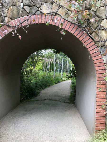 レンガのトンネルの向こうに白樺の林が ナチュラル ヒーリング ガーデン 9 28 のアルバム みんなの趣味の園芸 168