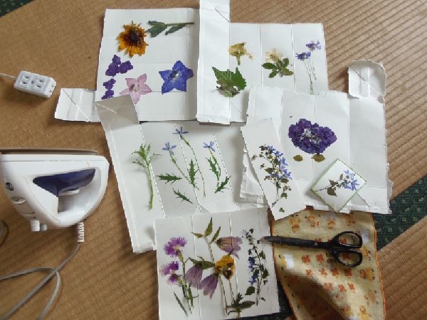 アイロン押し花と蝶 みんなの趣味の園芸 Nhk出版 ほんわか猫さんの園芸日記