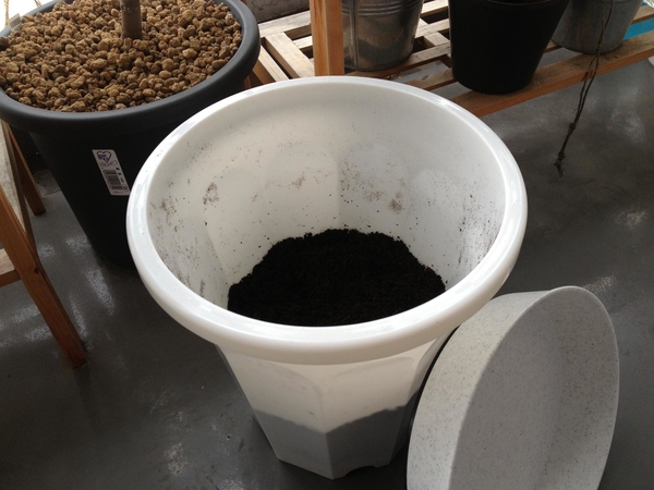 コーヒーかすで堆肥を作る みんなの趣味の園芸 Nhk出版 ヨーコさんの園芸日記