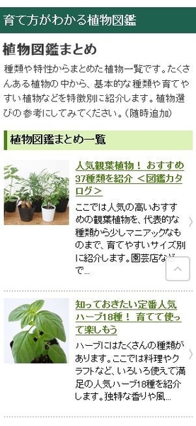 植物図鑑まとめページを公開しました みんなの趣味の園芸 Nhk出版 みんなの趣味の園芸スタッフさんの園芸日記