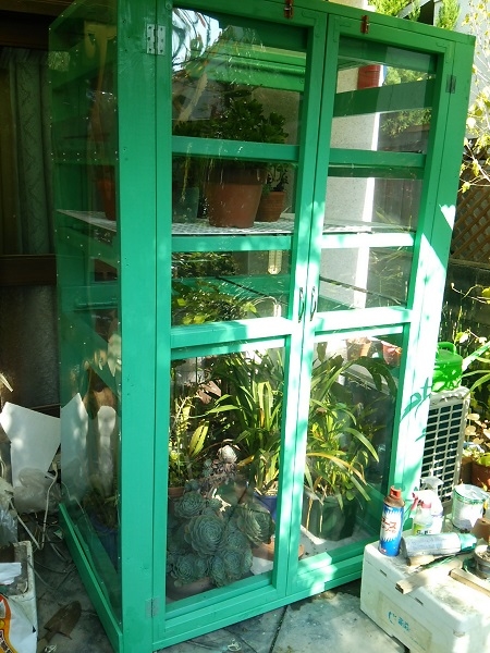 温室が完成しました 園芸日記 By うつりぎ ゆき みんなの趣味の園芸