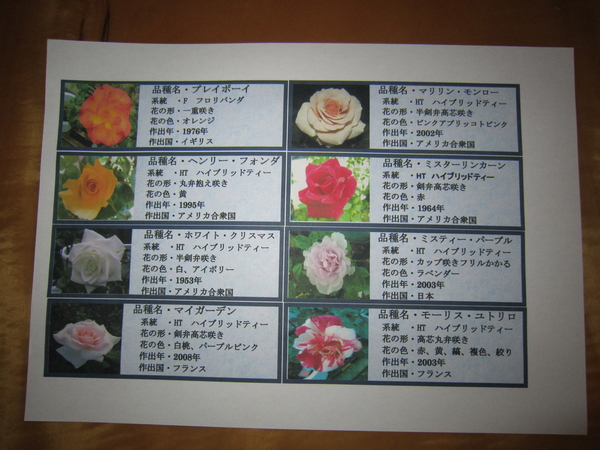 爺爺 手作り ネームプレート 写真1枚目 薔薇咲爺爺さんの日記 みんなの趣味の園芸 18 09 08