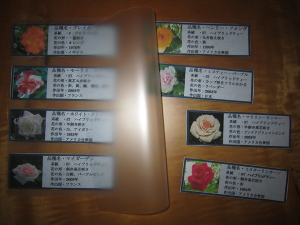 爺爺 手作り ネームプレート 写真2枚目 薔薇咲爺爺さんの日記 みんなの趣味の園芸 18 09 08