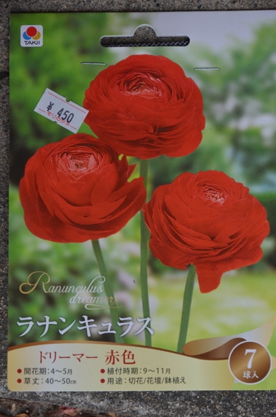 福袋 アネモネ ラナンキュラス みんなの趣味の園芸 Nhk出版 赤いハナミズキさんの園芸日記 5321
