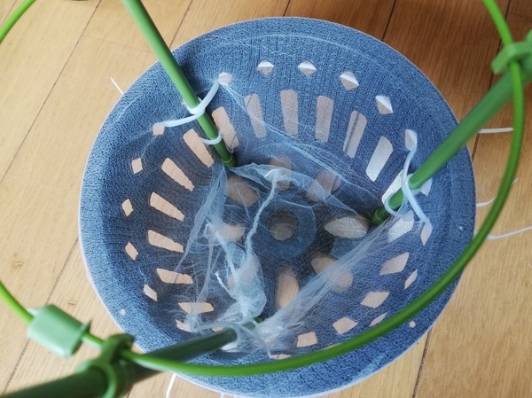 水耕栽培自作容器 定植用 ミニトマト支柱付き その２ 園芸日記 By かとちゃんずぼー みんなの趣味の園芸