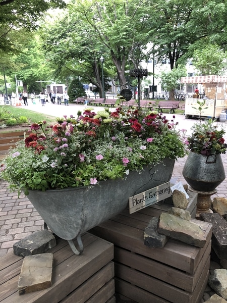 札幌花フェスタ ギャザリング体験会 みんなの趣味の園芸 Nhk出版 あいさんの園芸日記 5643