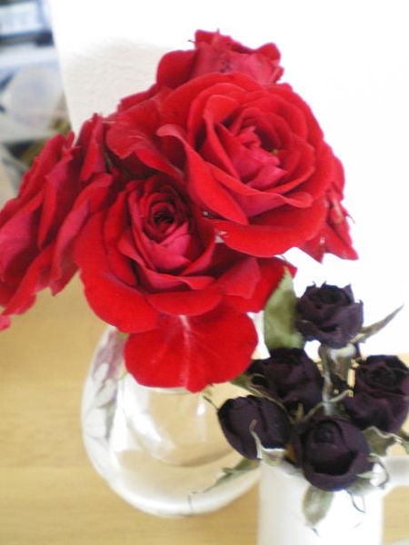 赤薔薇が黒薔薇に みんなの趣味の園芸 Nhk出版 ちっぷさんの園芸日記 594