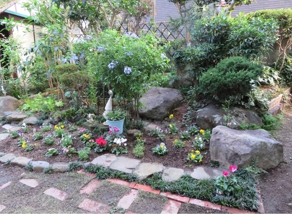 花壇の周りにリュウノヒゲ みんなの趣味の園芸 Nhk出版 ロッキーさんの園芸日記