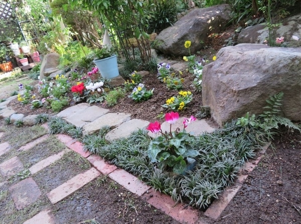 花壇の周りにリュウノヒゲ みんなの趣味の園芸 Nhk出版 ロッキーさんの園芸日記