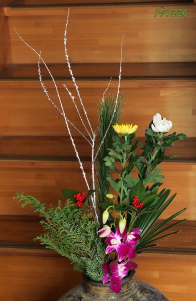 正月飾りの花瓶 デンファレ 千両 菊 園芸日記 By パリンドローム みんなの趣味の園芸
