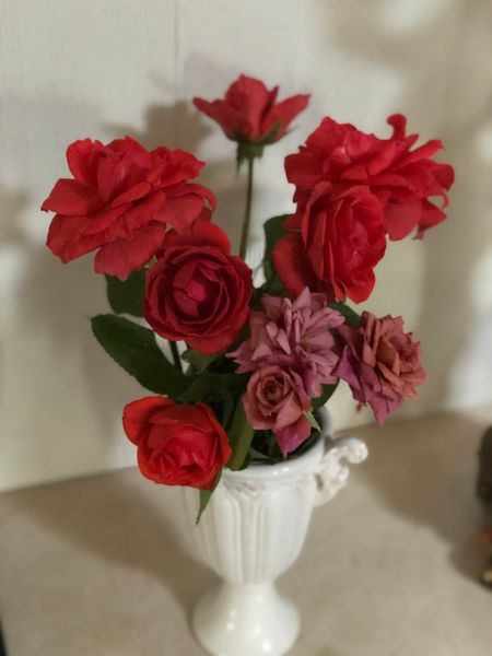 薔薇の二番花 With スリップス ハダニ 園芸日記 By みそスープ みんなの趣味の園芸