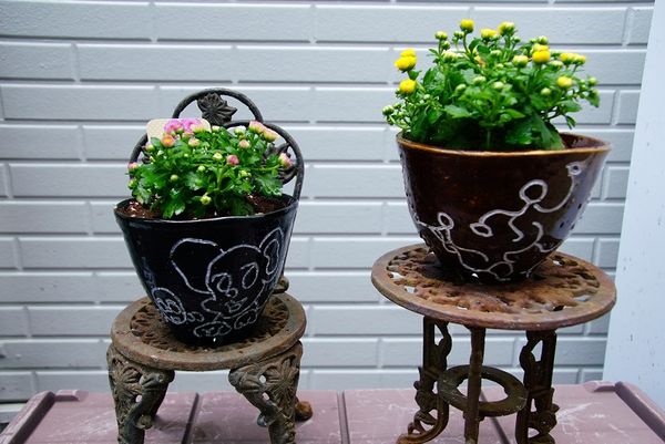 自作陶芸鉢で お花を育てます みんなの趣味の園芸 By レオとロビー