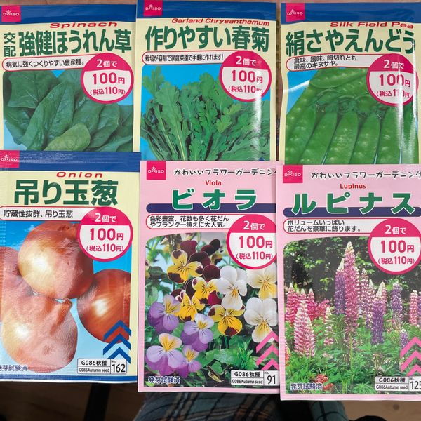 ダイソーの秋まき種を買ってきた みんなの趣味の園芸 Nhk出版 Toki音希さんの園芸日記