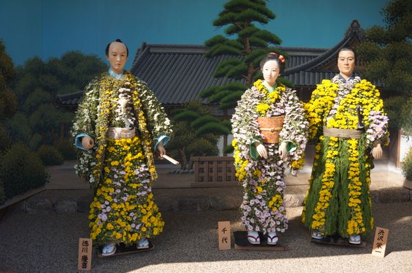 湯島天神 菊祭り みんなの趣味の園芸 By ｒｏｚｉ 8632