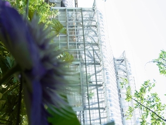 関西の植物園巡り 園芸日記 By 渋谷区ふれあい植物センター 軟式 みんなの趣味の園芸