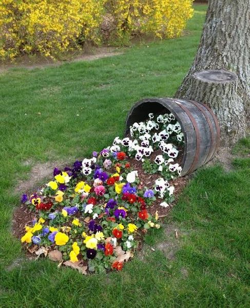 来年の春に庭で画像のようなこぼれ花の花壇を作りたいと計画中 園芸相談q A みんなの趣味の園芸