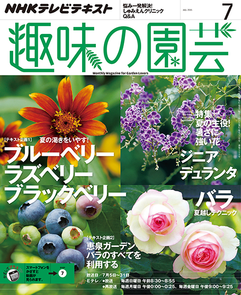夏の主役 暑さに強い花 趣味の園芸 最新号 7月号 みんなの趣味の園芸 Nhk出版 トピック ニュース