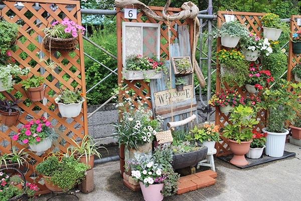 新潟県 十日町で花と緑のプロジェクト キャンバスガーデンフェスティバル 開催 6月26日 7月10日 トピック ニュース みんなの趣味の園芸