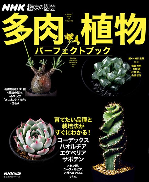 これ1冊で多肉植物の基本は完ぺき 多肉植物パーフェクトブック 発売 トピック ニュース みんなの趣味の園芸