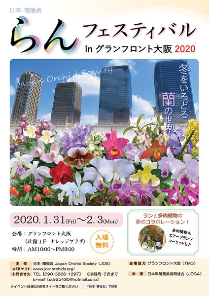 グランフロント大阪で らんフェスティバル 1月31日 23日開催 多肉植物とのコラボレーションも トピック ニュース みんなの趣味の園芸