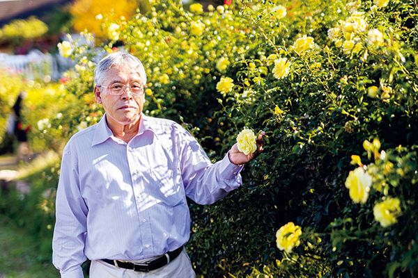 病気に強く 無農薬でも育つバラ 連載 レジェンド 鈴木満男さんに教わるバラ栽培の奥義 最終回 3月号 みんなの趣味の園芸