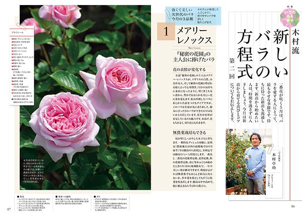 連載 木村流 新しいバラの方程式 第2回 21年5月号 みんなの趣味の園芸