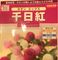 千日紅（ネオンミックス）を種から