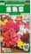 【2021年春◆育成中】種から育てるキンギョソウ・フローラルシャワー