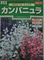 カンパニュラの花を咲かせてみたい