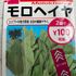 モロヘイヤ2021ダイソー種から育てる
