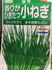 使用期限を2年過ぎたネギの種【成功】