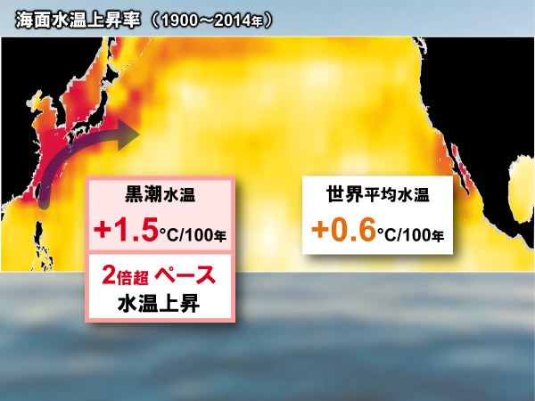 【仙台市の温暖化 その3】 仙台市の気温上昇の要因の一つに黒潮の海水温上昇が挙げら