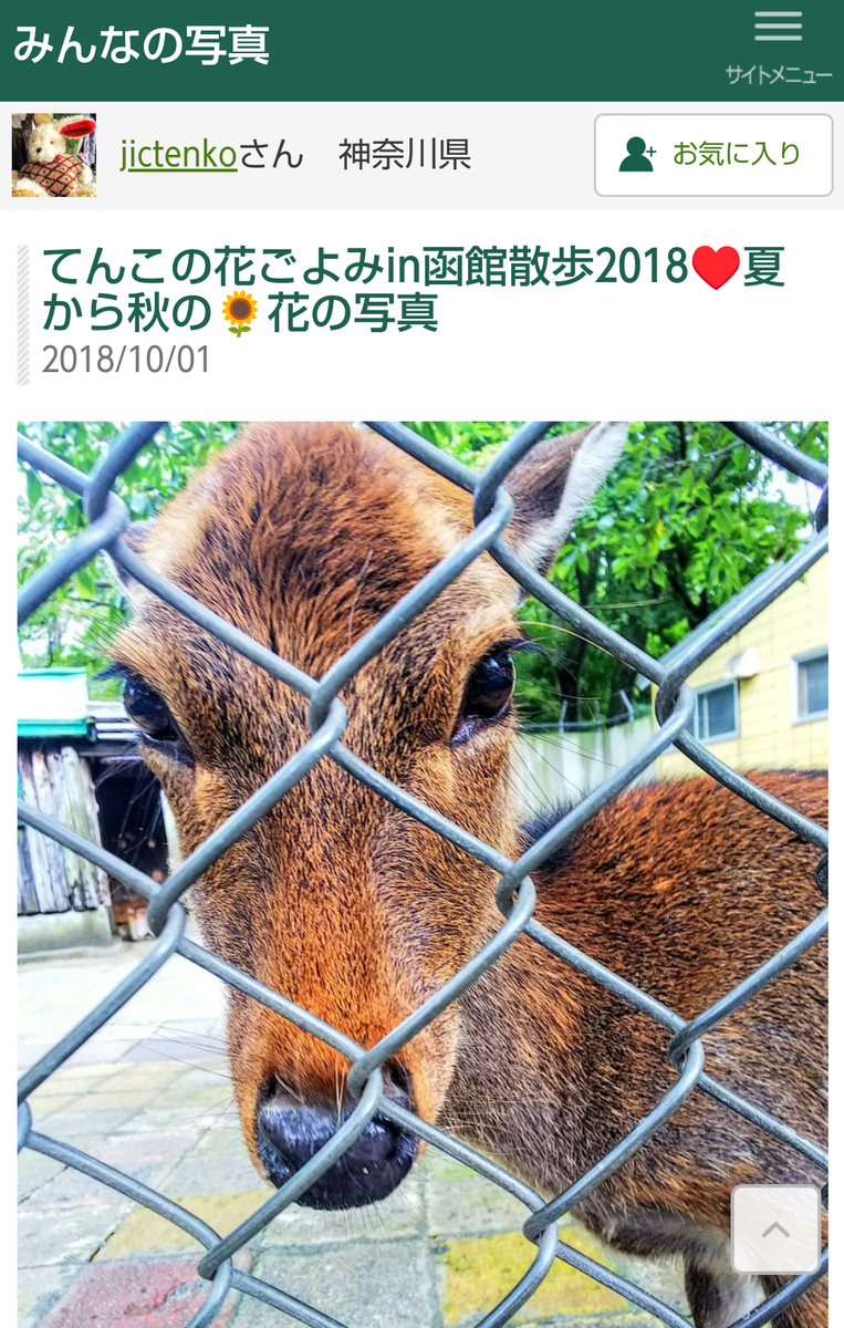 函館公園の動物