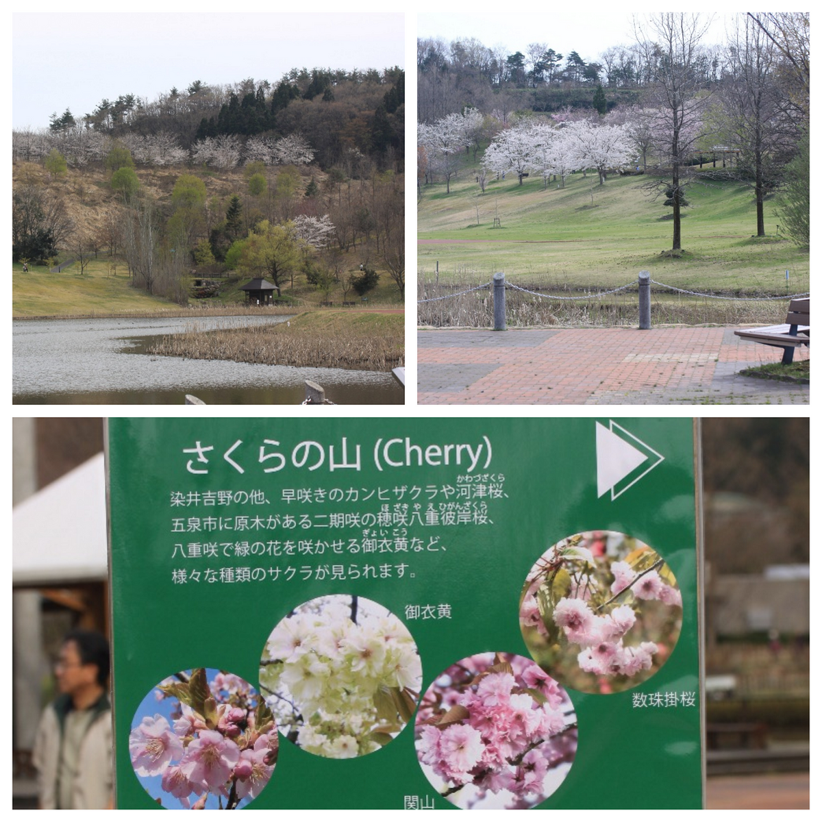 ４／１５（日）植物園に行こう～！