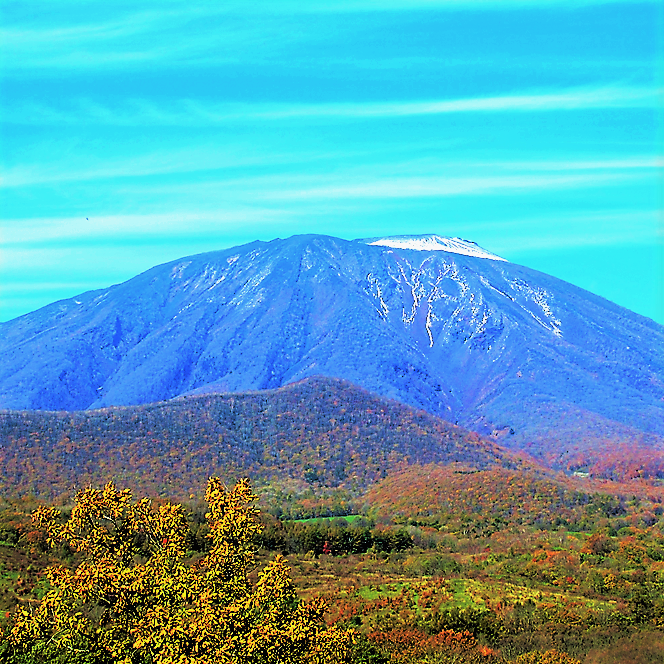 　わがふるさとの・岩手山（岩鷲山）です。🗻