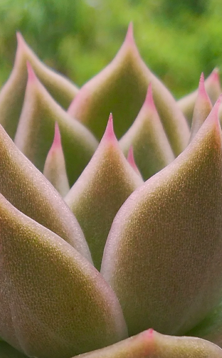 大きく息を吸って(*⌒▽⌒*)