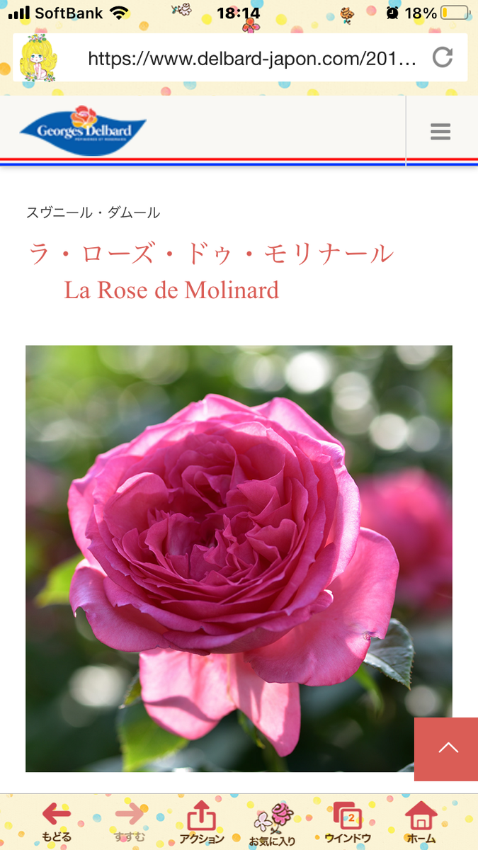 La Rose de Molinard