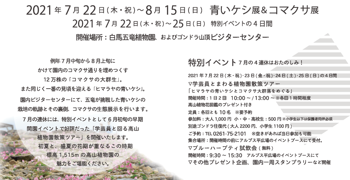 【白馬五竜高山植物園】7月の特別イベントまであと2日