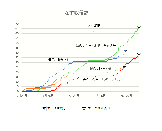 長なす 収穫数トレンド