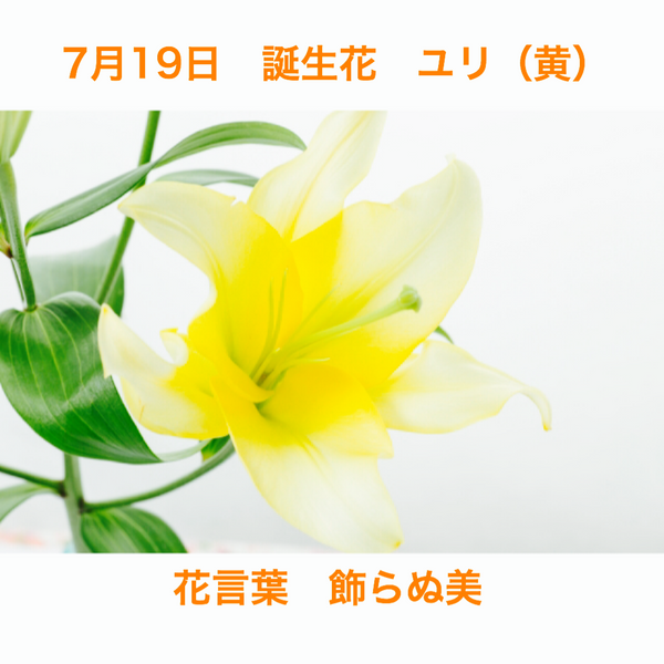 7月１９日の誕生花は みんなの趣味の園芸 Nhk出版 あやふぅさんの園芸日記 7061